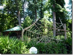 Spider web at Childrens Garden