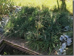 The testing garden near an entrance