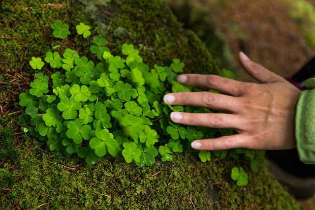 Naturaleza y relax en los alrededores de Pitlochry. Y la noche de las Highlands! - ESCOCIA: verde que te quiero verde! (10)