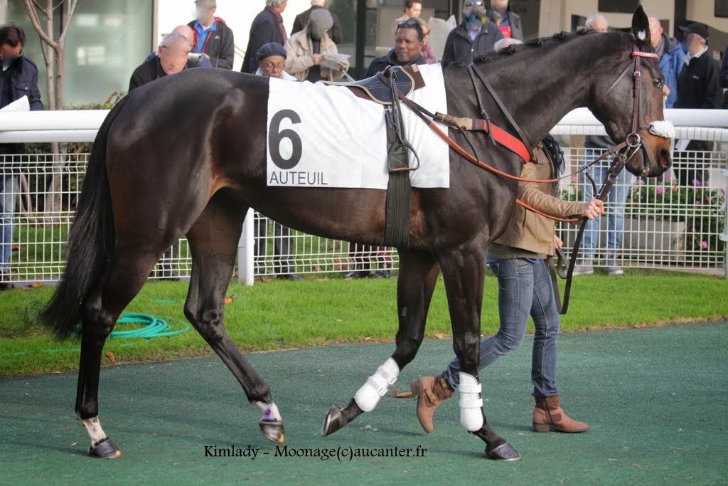 Photos Auteuil 23-11-2014  IMG_5994