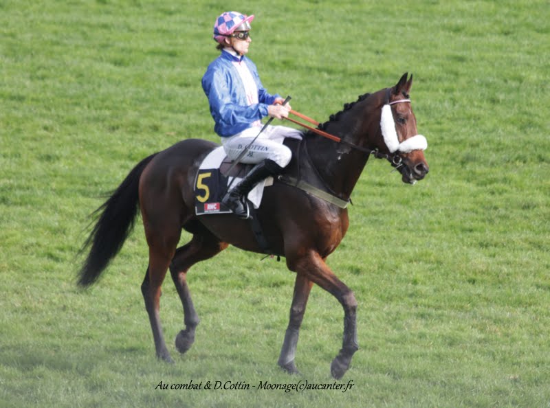 Photos Auteuil 8-11-2015 (48h de l'obstacle) IMG_6847