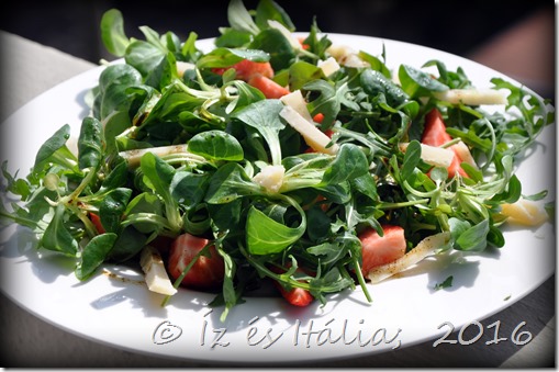 salata_eperrel_0925