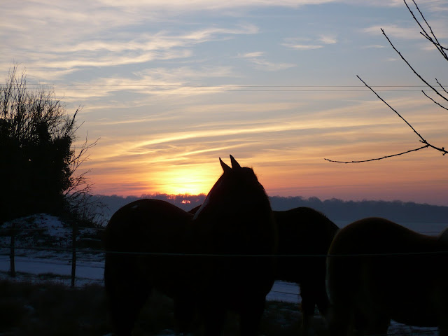 Concours Photos Juillet : Ciel et Chevaux P1020178