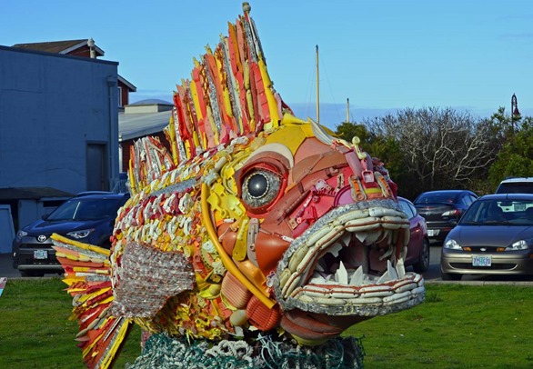 Washed Ashore Fish