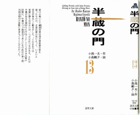 Hanzou no Mon Vol.13