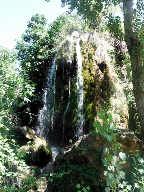 Senderismo - Fuente de Los Cloticos - Pozo Torrecilla - PR-CV 275