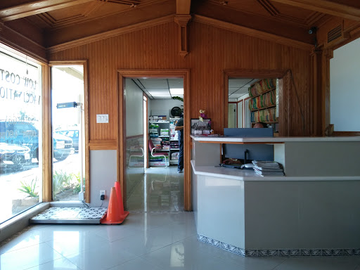 Animal Hospital «La Palma Veterinary Hospital», reviews and photos