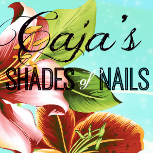 Shades of Nails logo