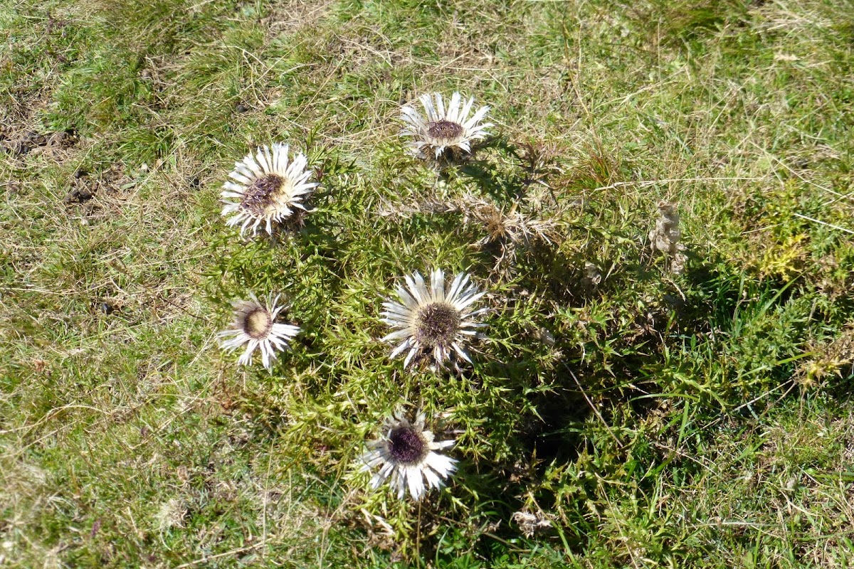 P1130407.JPG
