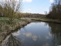 2015.04.06-058 le grand canal