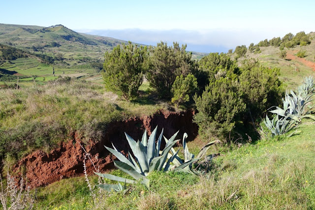 4 días en El Hierro (Canarias). Una isla vertiginosa y espectacular. 2ª parte. - De viaje por España (8)