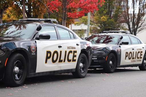 Man arrested after allegedly chasing Victoria security guards while wielding knife