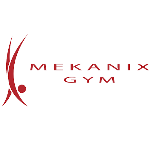 Mekanix logo