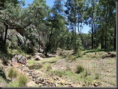 171107 091 Warrumbungles Wambelong Nature Trail