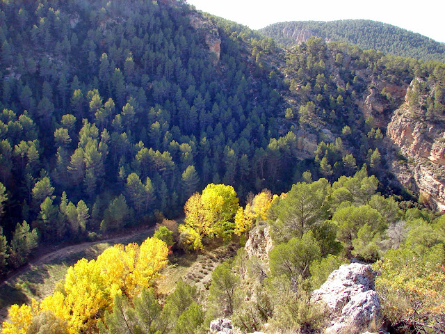 senderismo - Cañón del río Mira