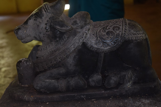 nandi