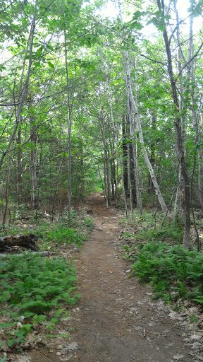 Nature Preserve «Littlejohn Island Preserve», reviews and photos, Pemasong Ln, Yarmouth, ME 04096, USA