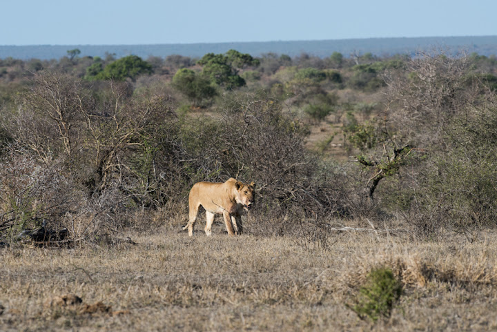 20151018_AFRICA15_D810_4820.jpg