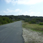 Pistol Club Rd near Botany Bay National Park (310664)