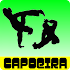 Capoeira Lessons1.05