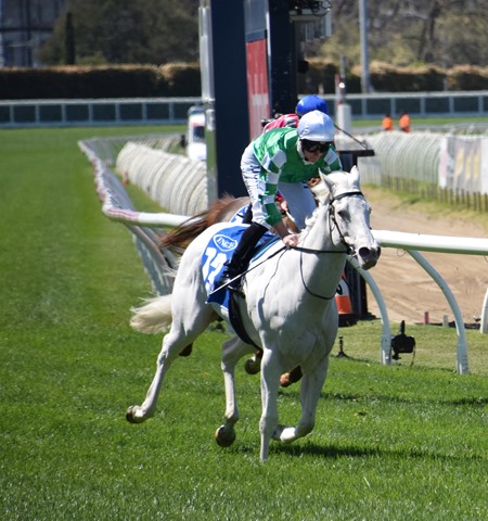 race 1_utzon 7 race 1_utzon 7