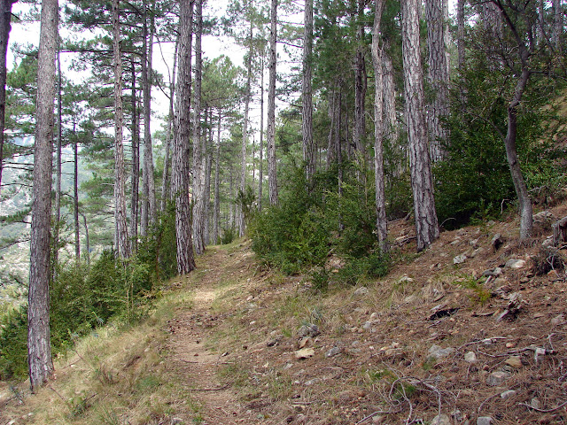 Senderismo - Coll de la Creu - Punta Boixet - Alt de la Coscollosa - Barranc de la Coscollosa