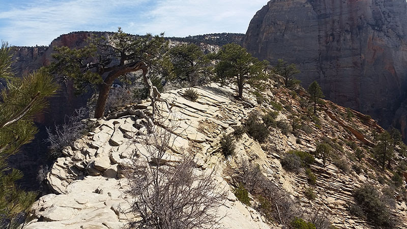 Southwest USA Road Trip Loop - Blogs de USA - Etapa 06: Zion NP (15)