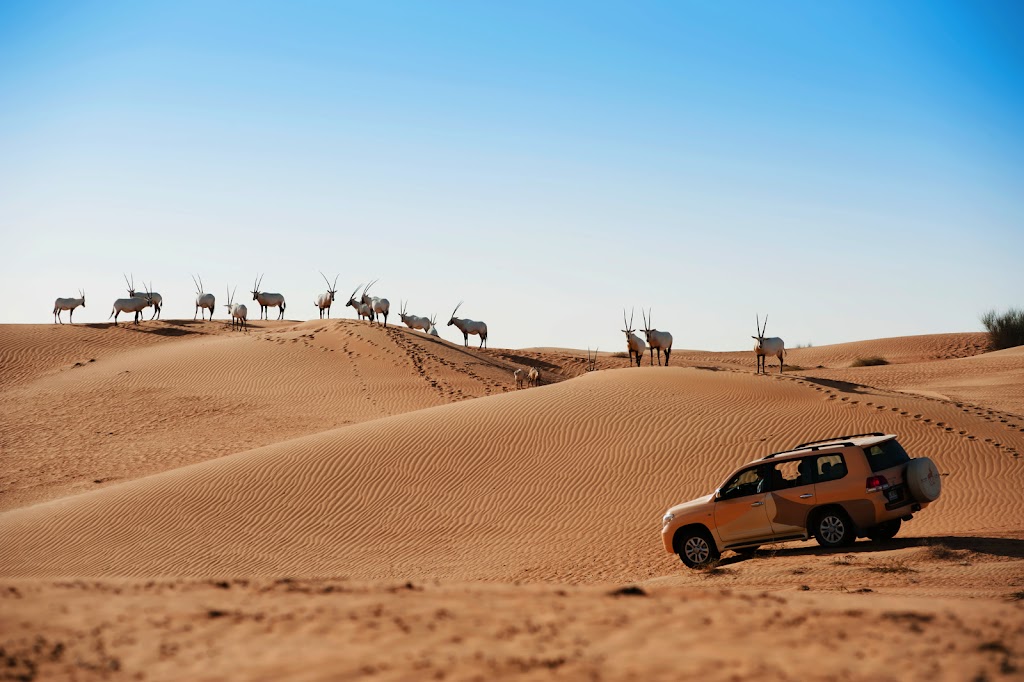 Al Maha Desert Resort in Dubai