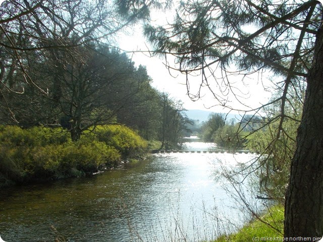 river coquet