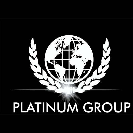 Platinum Group logo