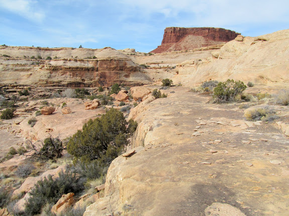 Wending my way down ledges into the bottom of the canyon