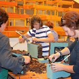 Taller tardor - DSC_0024.JPG