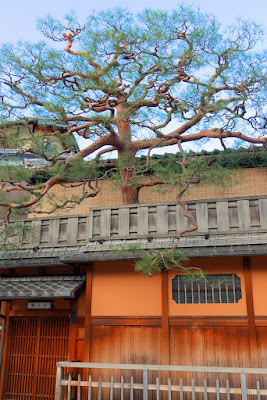 Walking the streets of Gion in Kyoto during the day - Hanamikoji Dori, the geisha district of on Hanamikoji Street