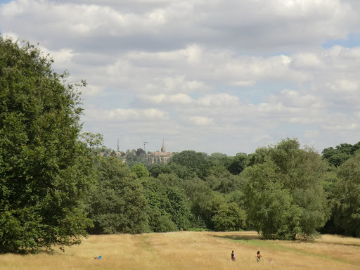 CIMG9135 Hampstead Heath in summer