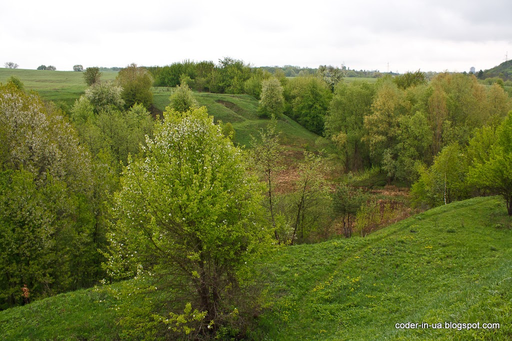 церковщина