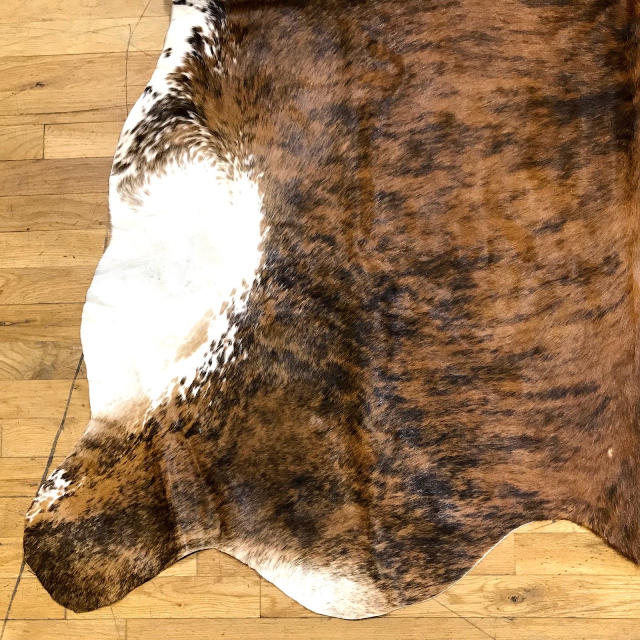 Cowhide Rug