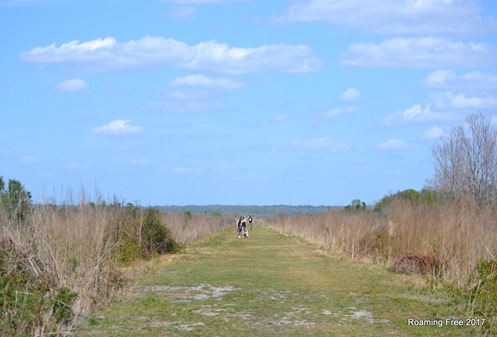 Walkway to the Observation Tower