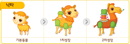 파일:/new_pet/growth/camel_growth.jpg