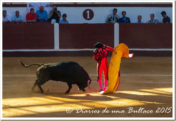 Toros1-9462