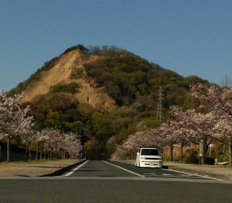 の投稿画像1枚目