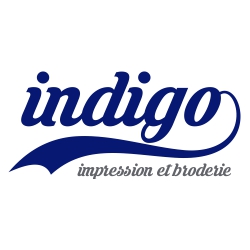 INDIGO SA logo