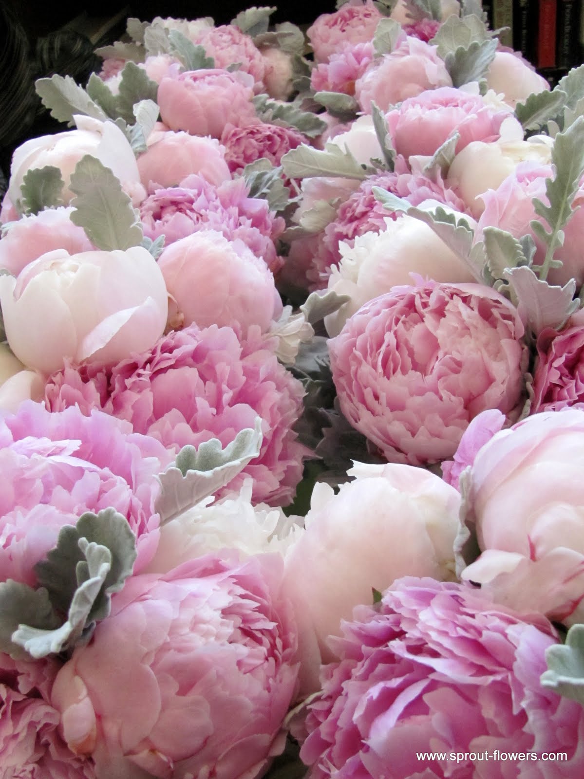 do a peony wedding during