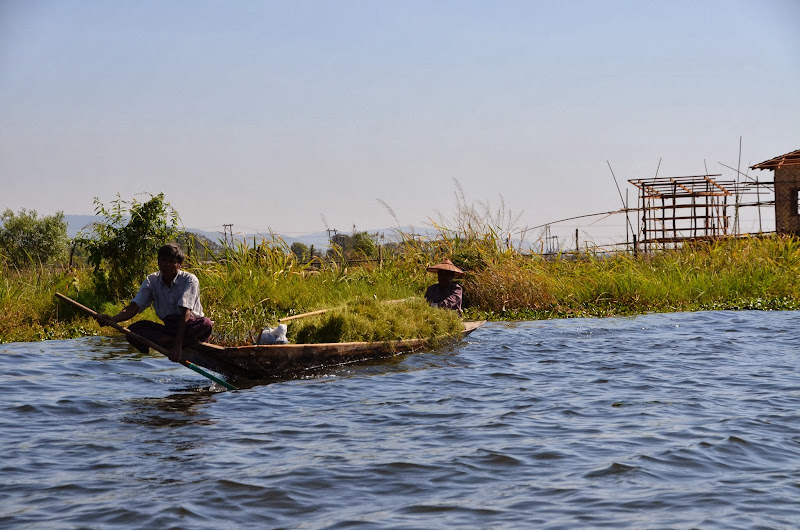 inle