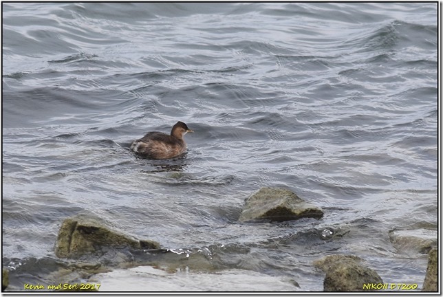 Draycote Waters - December