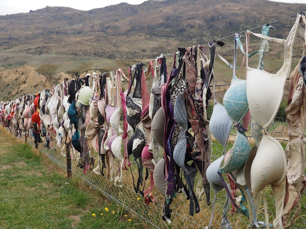 cardrona-bra fence-3