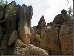 170529 015 Fitzroy Crossing Geikie Gorge NP