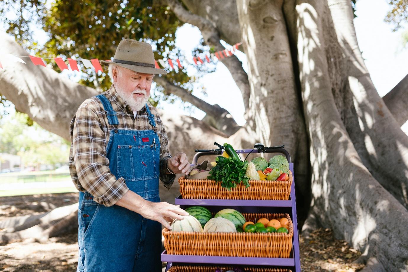 A person holding a basket of fruit  Description automatically generated with low confidence