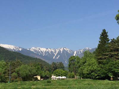 IMG_8529.JPG