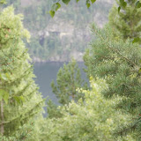 De natuur in de buurt van het Telemark-kanaal.