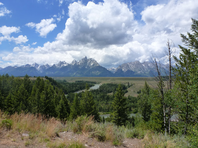 Vuelo a Jackson Hole. PN de Grand Teton. Llegada a PN Yellowstone. 11 Julio. - LAS ROCOSAS DE CANADA. YELLOWSTONE Y GRAND TETON. (9)